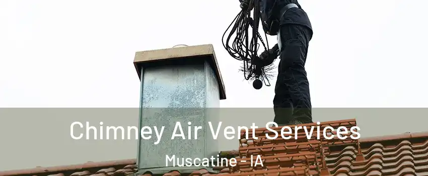 Chimney Air Vent Services Muscatine - IA