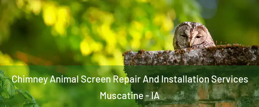  Chimney Animal Screen Repair And Installation Services Muscatine - IA