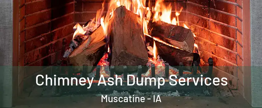  Chimney Ash Dump Services Muscatine - IA
