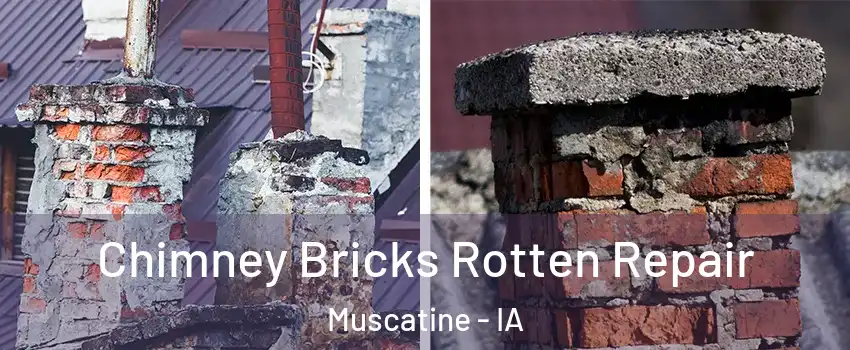 Chimney Bricks Rotten Repair Muscatine - IA