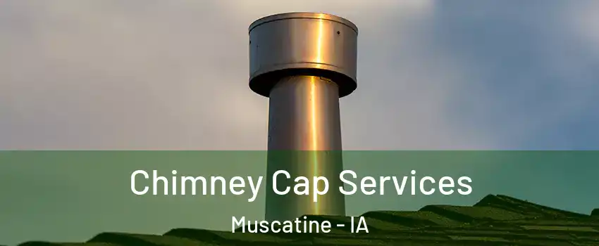  Chimney Cap Services Muscatine - IA