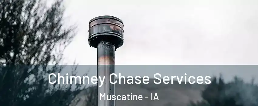  Chimney Chase Services Muscatine - IA