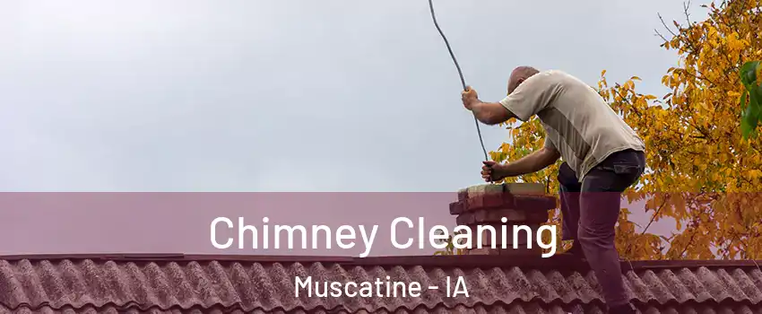  Chimney Cleaning Muscatine - IA