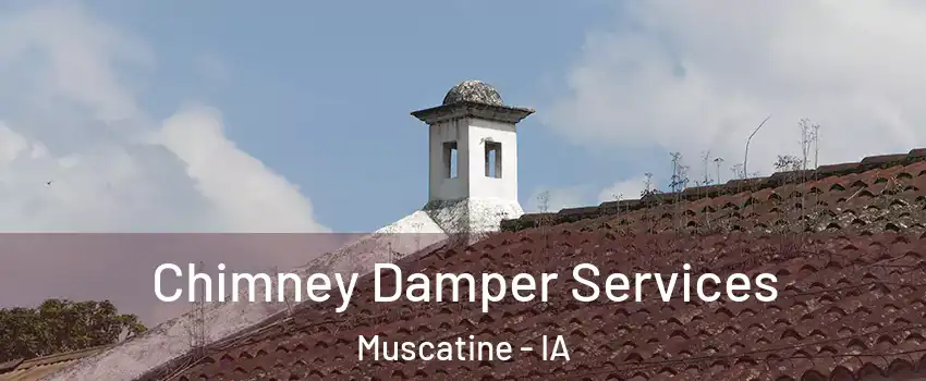  Chimney Damper Services Muscatine - IA