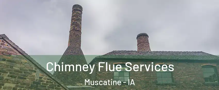  Chimney Flue Services Muscatine - IA