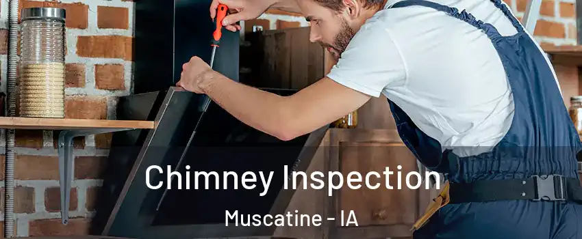  Chimney Inspection Muscatine - IA