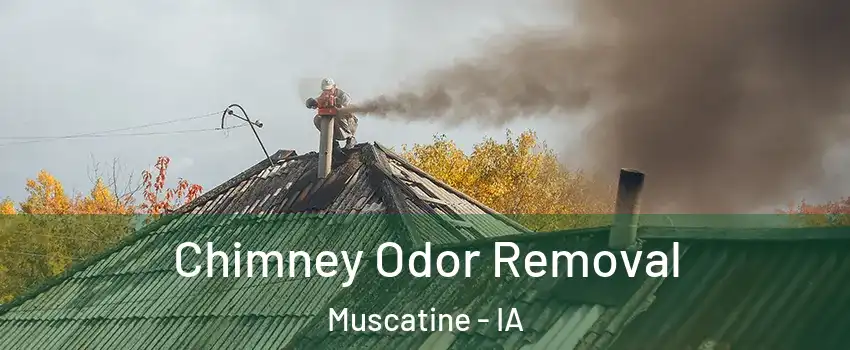  Chimney Odor Removal Muscatine - IA