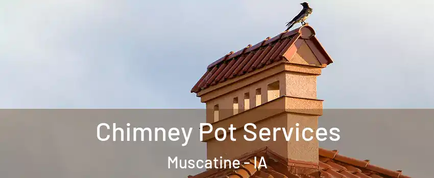  Chimney Pot Services Muscatine - IA
