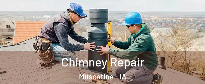  Chimney Repair Muscatine - IA