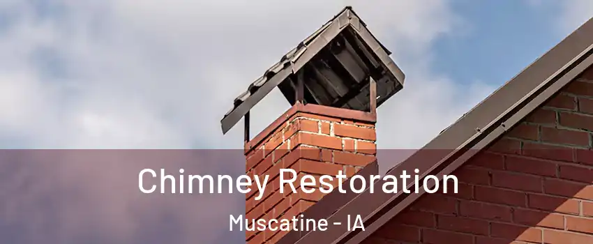  Chimney Restoration Muscatine - IA