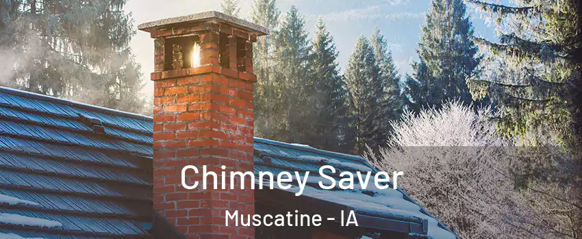  Chimney Saver Muscatine - IA