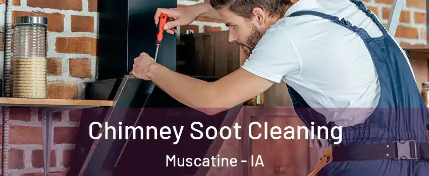  Chimney Soot Cleaning Muscatine - IA