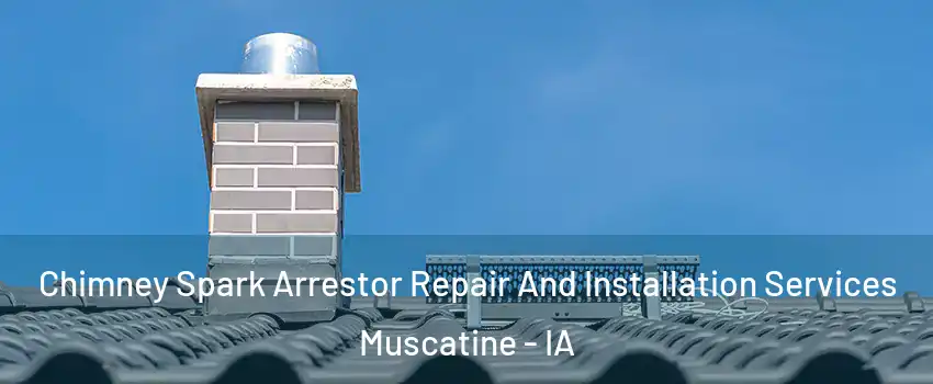  Chimney Spark Arrestor Repair And Installation Services Muscatine - IA