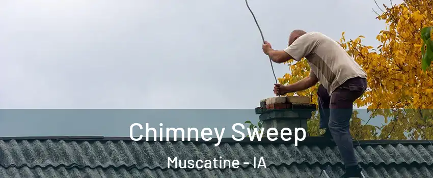  Chimney Sweep Muscatine - IA