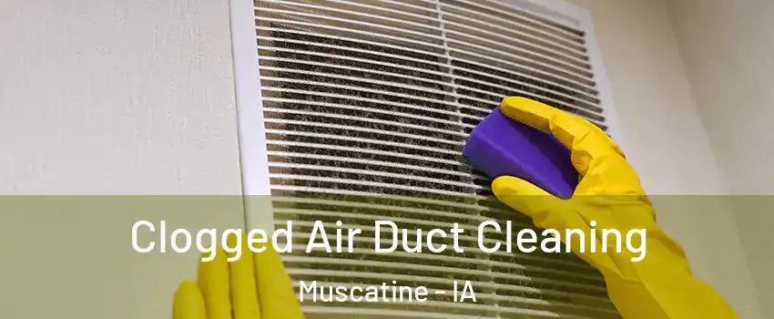  Clogged Air Duct Cleaning Muscatine - IA