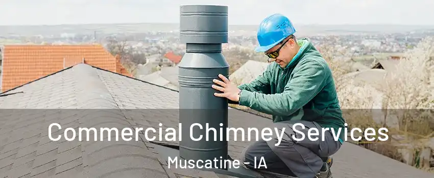  Commercial Chimney Services Muscatine - IA