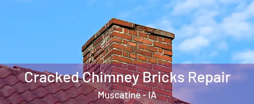 Cracked Chimney Bricks Repair Muscatine - IA