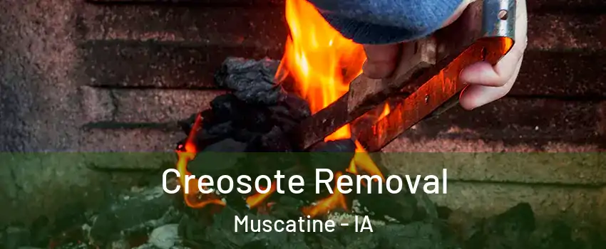  Creosote Removal Muscatine - IA