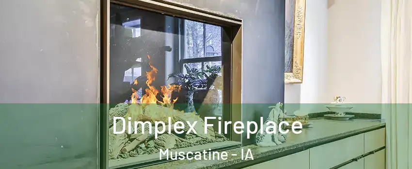  Dimplex Fireplace Muscatine - IA
