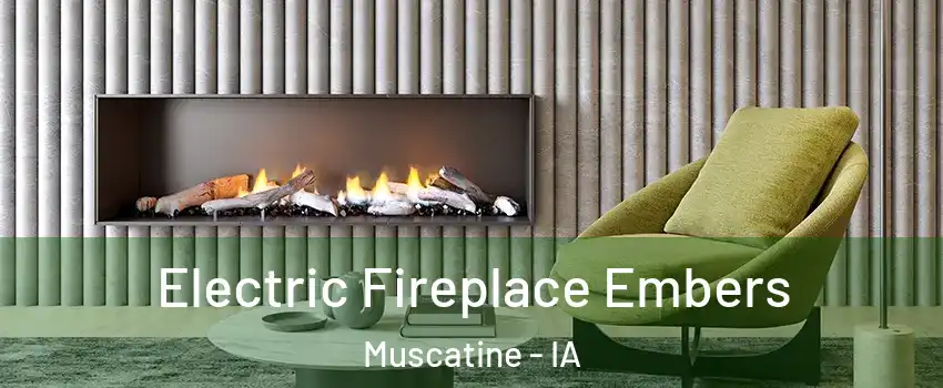  Electric Fireplace Embers Muscatine - IA