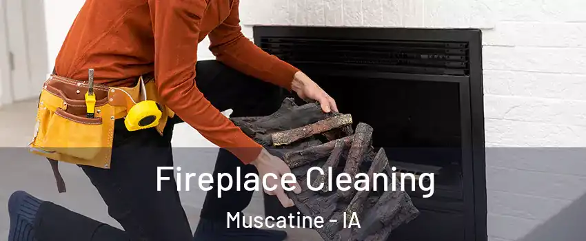  Fireplace Cleaning Muscatine - IA