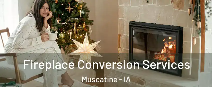  Fireplace Conversion Services Muscatine - IA