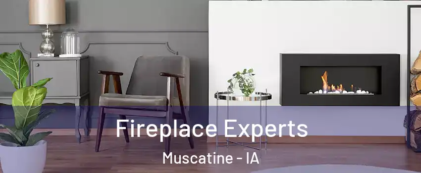  Fireplace Experts Muscatine - IA