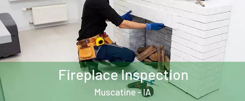  Fireplace Inspection Muscatine - IA