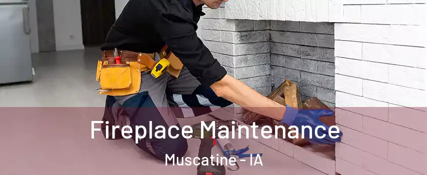 Fireplace Maintenance Muscatine - IA