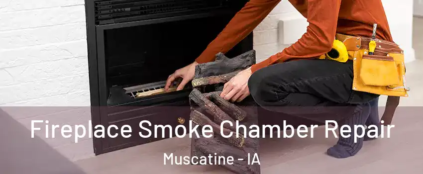  Fireplace Smoke Chamber Repair Muscatine - IA