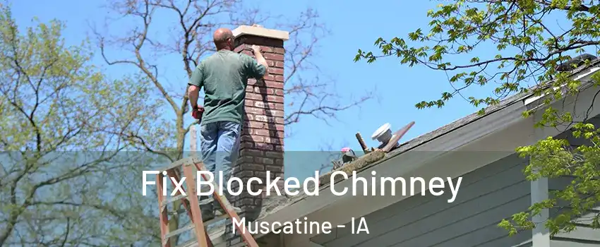  Fix Blocked Chimney Muscatine - IA