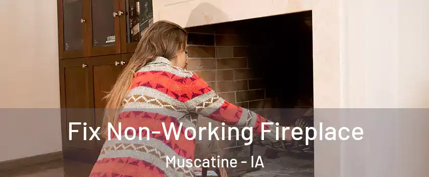  Fix Non-Working Fireplace Muscatine - IA