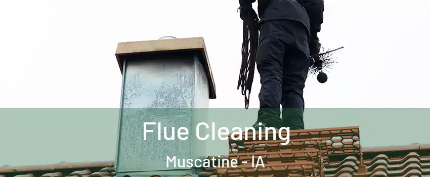  Flue Cleaning Muscatine - IA