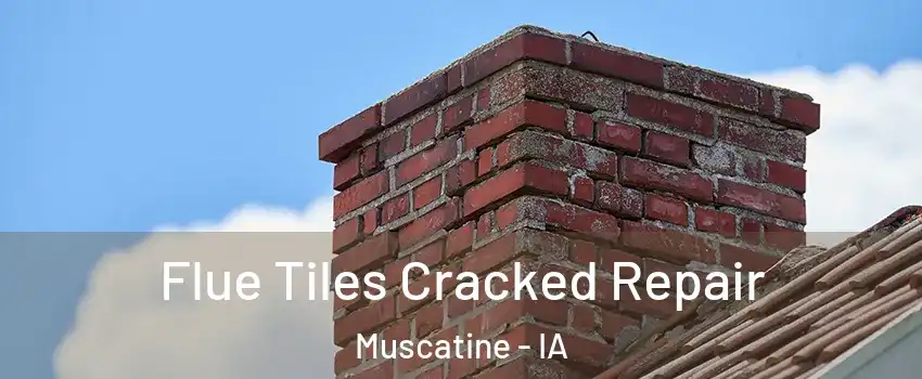  Flue Tiles Cracked Repair Muscatine - IA