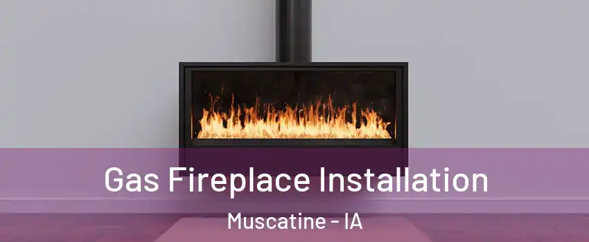  Gas Fireplace Installation Muscatine - IA