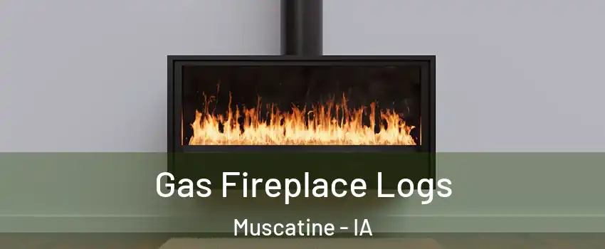 Gas Fireplace Logs Muscatine - IA