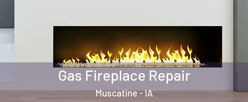  Gas Fireplace Repair Muscatine - IA
