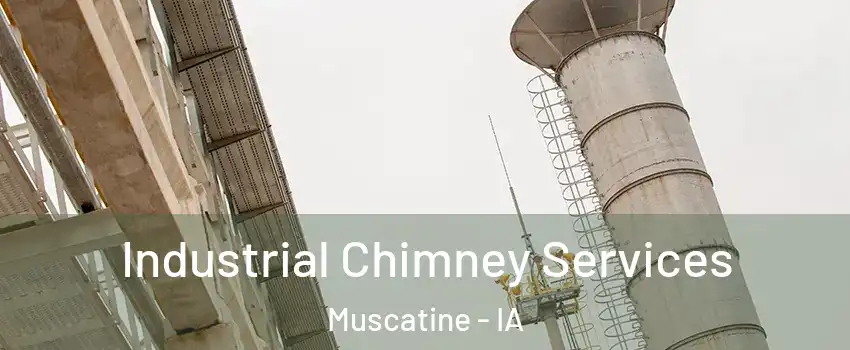  Industrial Chimney Services Muscatine - IA