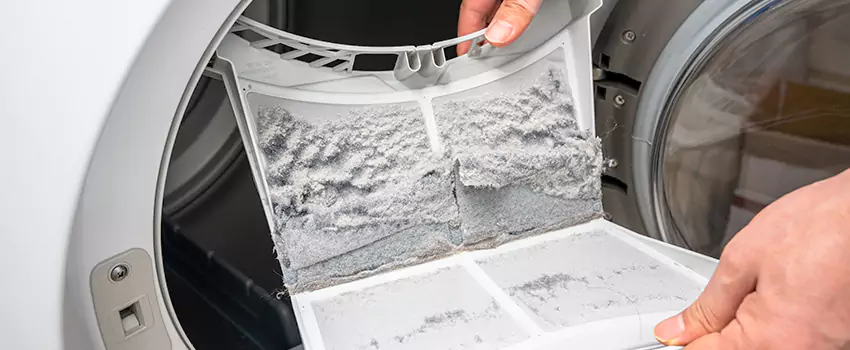 Best Dryer Lint Removal Company in Muscatine, Iowa