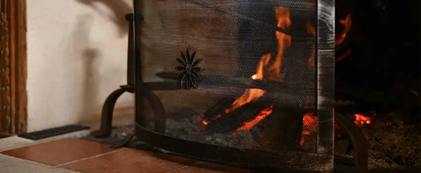 Electric Metal Fireplace installation Services in Muscatine, IA