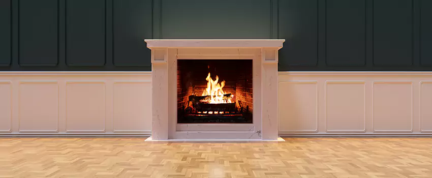 Napoleon Electric Fireplaces Inspection Service in Muscatine, Iowa