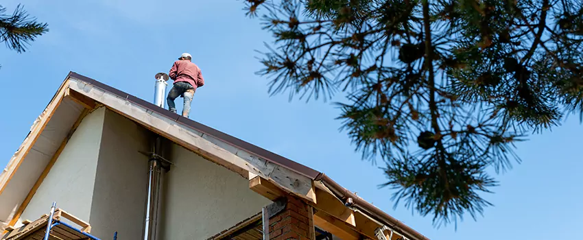 Birds Removal Contractors from Chimney in Muscatine, IA