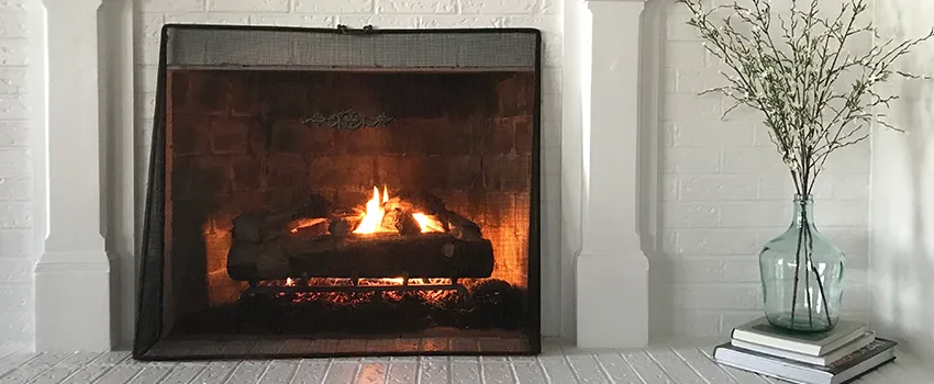 Cost-Effective Fireplace Mantel Inspection And Maintenance in Muscatine, IA
