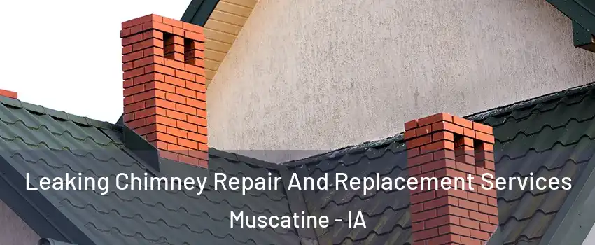  Leaking Chimney Repair And Replacement Services Muscatine - IA