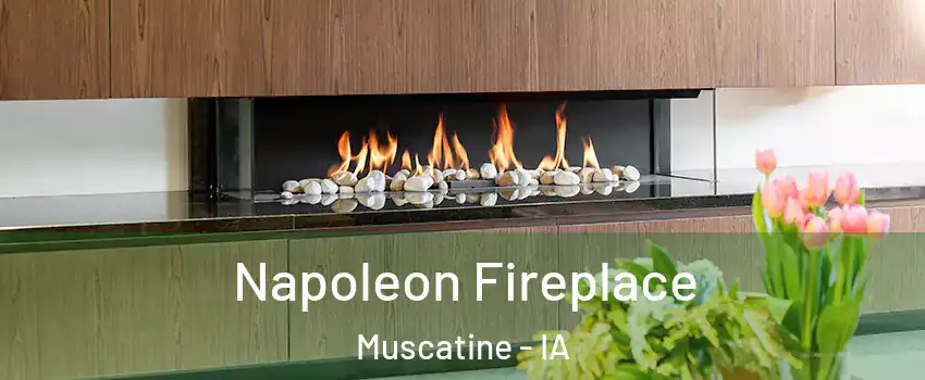  Napoleon Fireplace Muscatine - IA