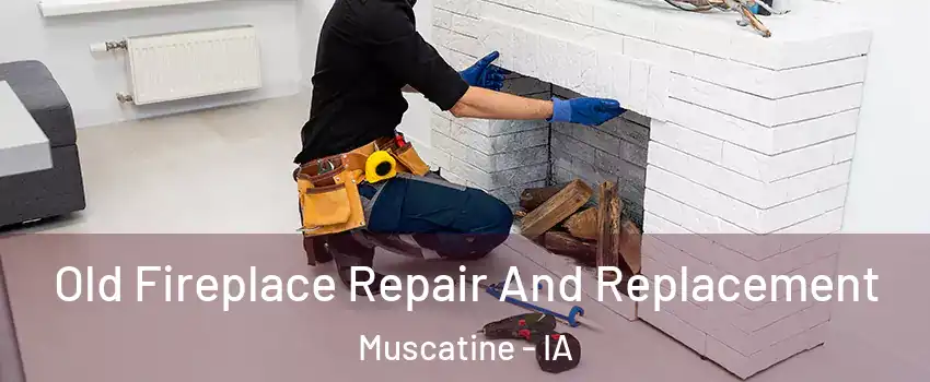  Old Fireplace Repair And Replacement Muscatine - IA