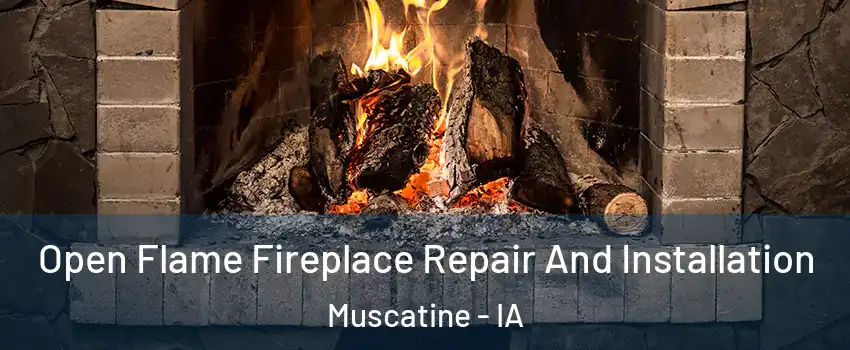  Open Flame Fireplace Repair And Installation Muscatine - IA