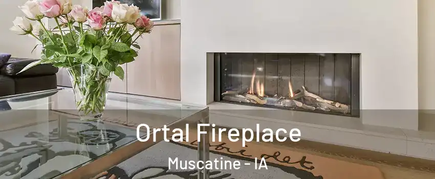 Ortal Fireplace Muscatine - IA