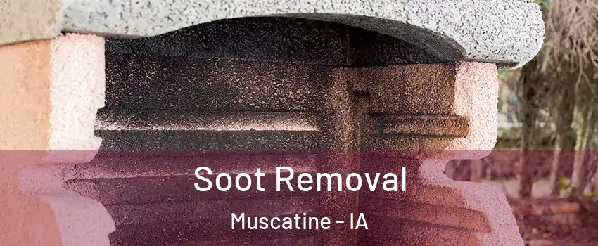  Soot Removal Muscatine - IA