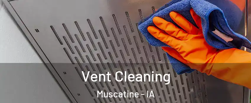  Vent Cleaning Muscatine - IA